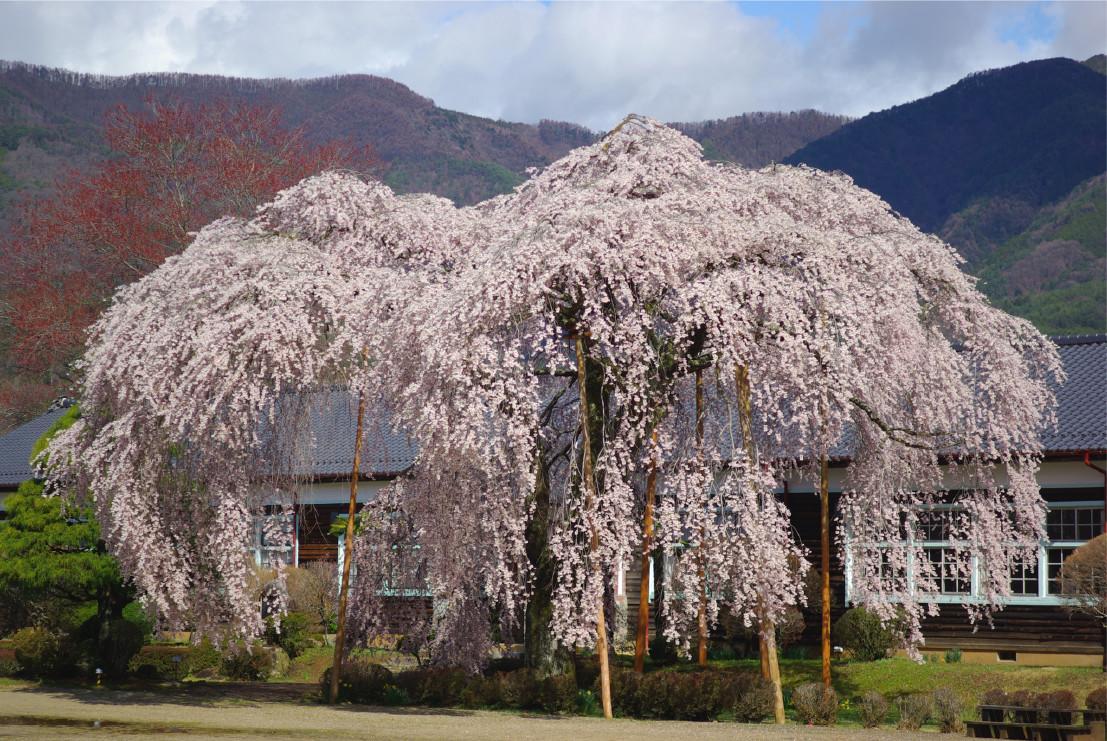 Ryokan Ootaya Iida Esterno foto